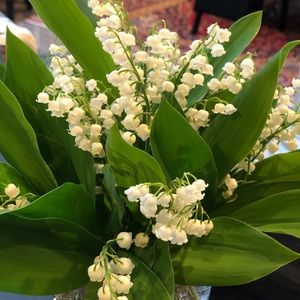 Meet your Posher, Karina